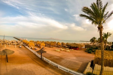 Regency Romance Club - 49