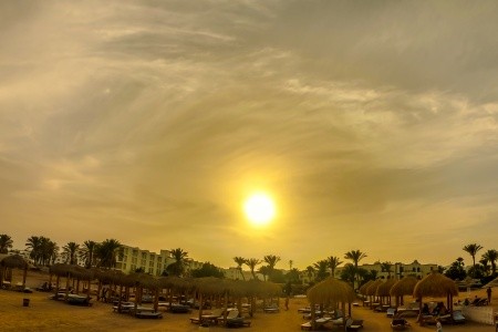 Regency Romance Club - 50