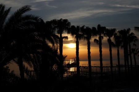 Turecko Turecká riviéra Gypsophila Holiday Village 6 dňový pobyt Ultra All inclusive Letecky Letisko: Viedeň March 2026 (28/03/26- 2/04/26)