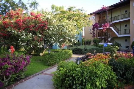 Turecko Turecká riviéra Gypsophila Holiday Village 6 dňový pobyt Ultra All inclusive Letecky Letisko: Viedeň March 2026 (28/03/26- 2/04/26)