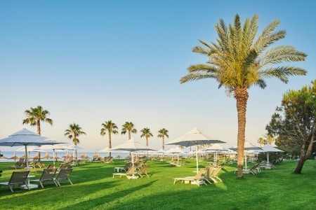 Voyage Sorgun Select - 70