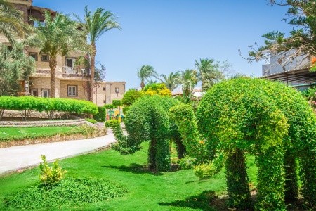 Egypt Hurghada Sea Gull Beach Resort 8 dňový pobyt All Inclusive Letecky Letisko: Praha April 2026 (15/04/26-22/04/26)