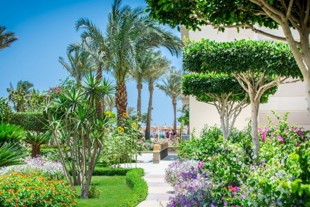 Egypt Hurghada Sea Gull Beach Resort 8 dňový pobyt All Inclusive Letecky Letisko: Praha April 2026 (15/04/26-22/04/26)
