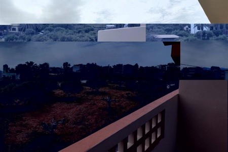 Georgia's Garden - 55