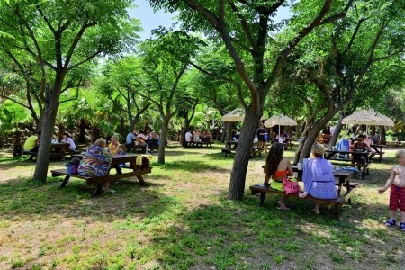 Seaden Sea World Resort & Spa - 52