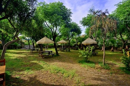 Seaden Sea World Resort & Spa - 53