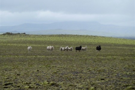 Island - velký okruh - 21