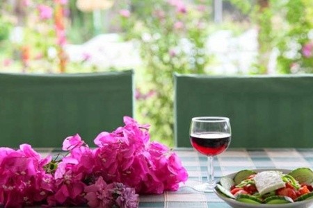 Grécko Rodos Rhodian Sun 10 dňový pobyt Polpenzia Letecky Letisko: Viedeň August 2025 (31/08/25- 9/09/25)