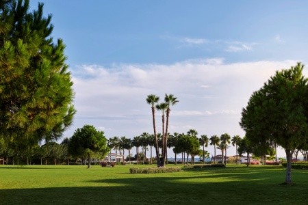 Lara Barut Collection - 10