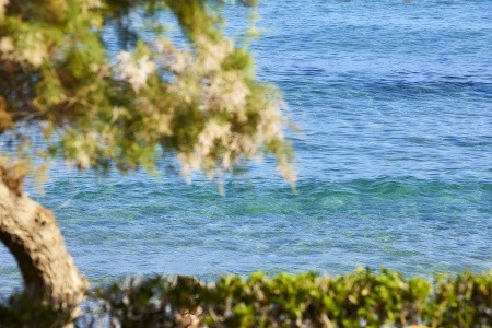 Alexander Beach Hotel & Village - 29