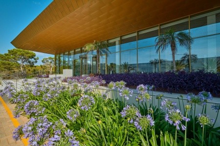 Španielsko Mallorca Hipotels Playa De Palma Palace 12 dňový pobyt Raňajky Letecky Letisko: Viedeň May 2026 ( 9/05/26-20/05/26)
