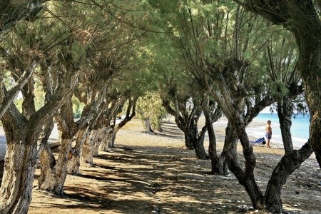 All Senses Ocean Blue - 30