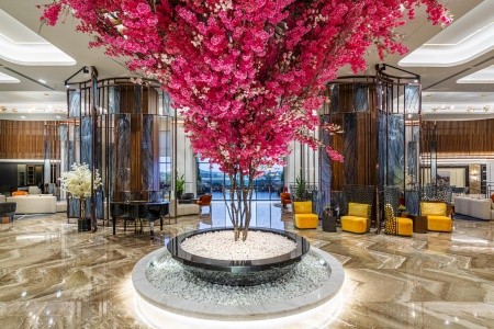 Kirman Calyptus - 12