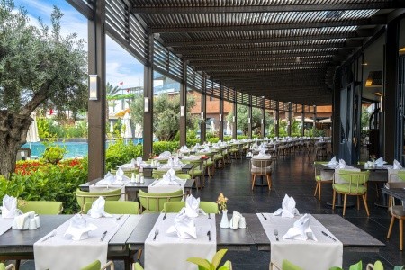 Kirman Calyptus - 38