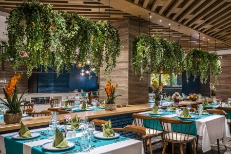 Kirman Calyptus - 42