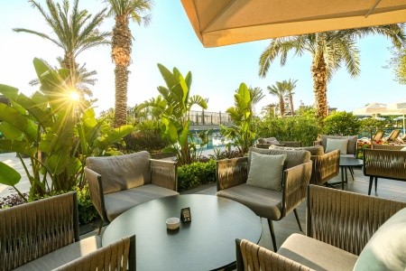 Kirman Calyptus - 50