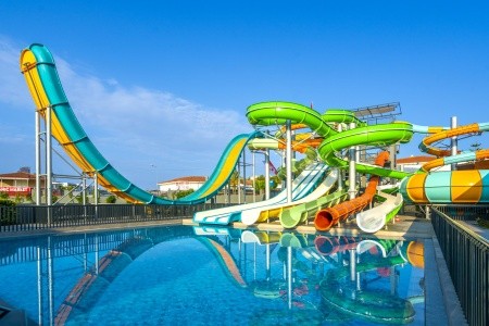 Kirman Calyptus - 66