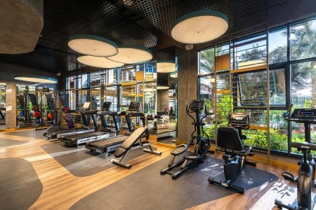 Kirman Calyptus - 84