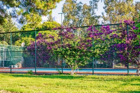 Turecko Kemer Transatlantik Beach (Ex.