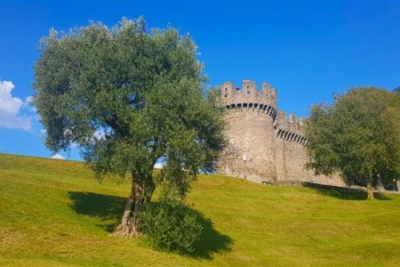 Vinice, palmy a jezera pod horskými štíty s jízdou Bernina Express a ledovcem Diavolezza - 9