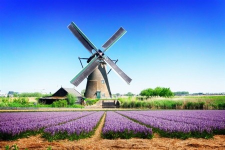 Holandsko - s květinovým korzem