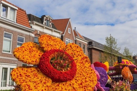 Holandsko - s květinovým korzem - 4