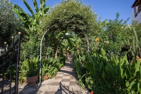 Bali Dorian Apartments - 8