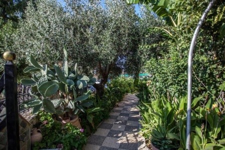 Bali Dorian Apartments - 21