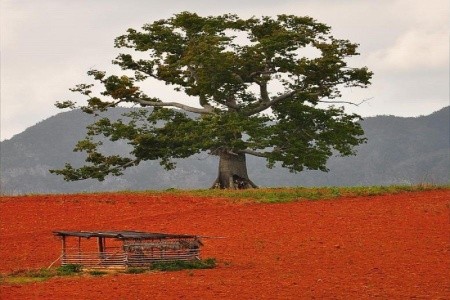 COPACABANA, GRAND MEMORIES VARADERO - 16