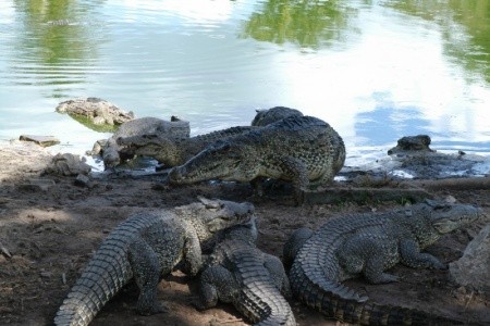 COPACABANA, GRAND MEMORIES VARADERO - 18