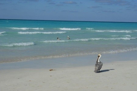 COPACABANA, GRAND MEMORIES VARADERO - 44
