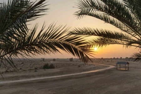 Bab Al Shams Desert Resort & Spa - 110