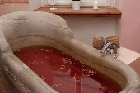 Lesní Zátiší (Lázně Libverda) - 24