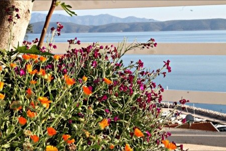 Apartmány Radojka - 5