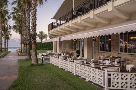 Papillon Belvil - 10