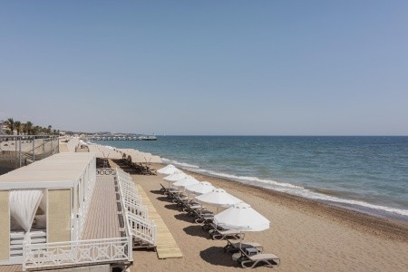 Papillon Belvil - 12