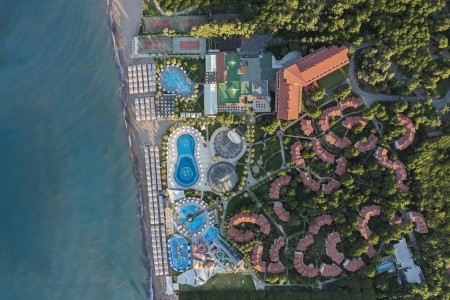 Papillon Belvil - 13