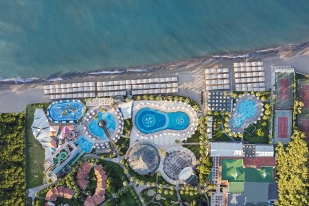 Papillon Belvil - 14