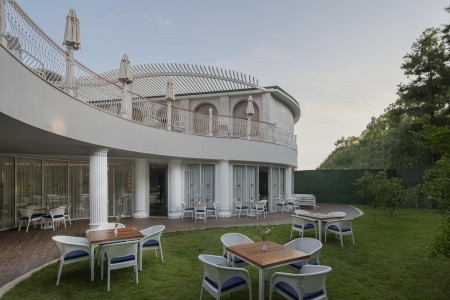 Papillon Belvil - 16