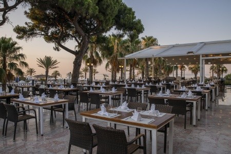 Papillon Belvil - 18