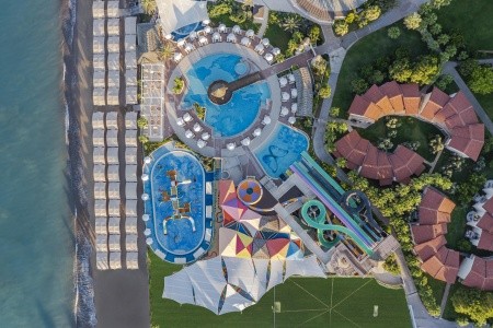 Papillon Belvil - 19