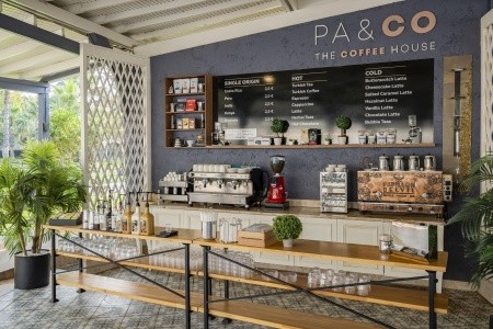 Papillon Belvil - 22