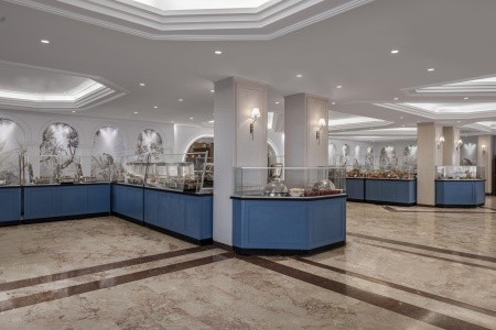 Papillon Belvil - 24