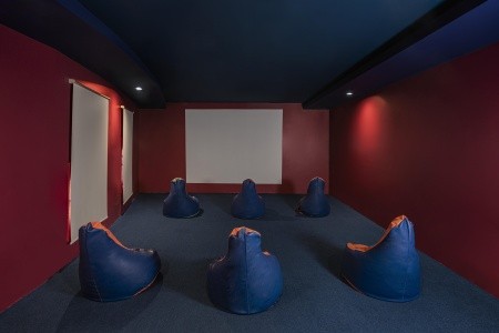 Papillon Belvil - 30