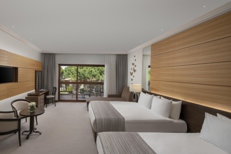 Papillon Belvil - 33