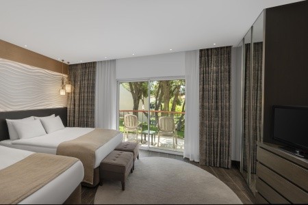 Papillon Belvil - 34