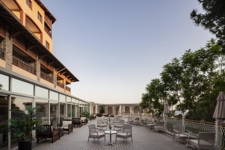 Papillon Belvil - 35