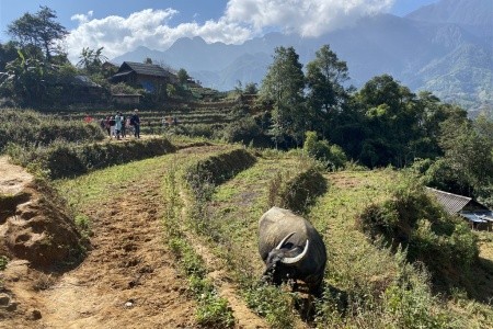 Vietnamem od Mekongu až do Sapy - 14