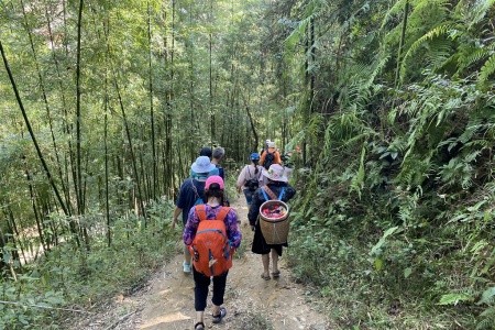 Vietnamem od Mekongu až do Sapy - 16