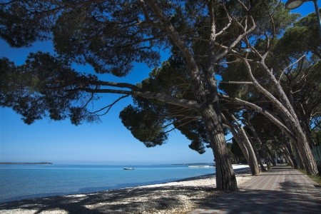 Camping Bi Village - 12